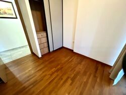 The Verandah Residences (D5), Apartment #482890121